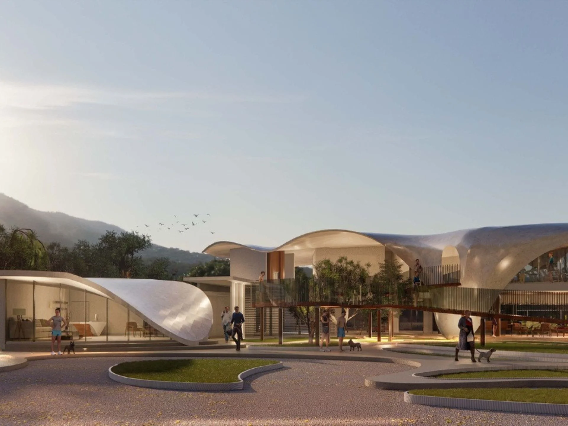 Sport within the complex